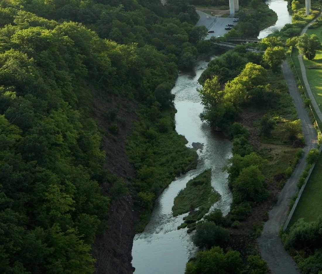 Sixteen Mile Creek surrounded by protected wooded valley lands and walking paths